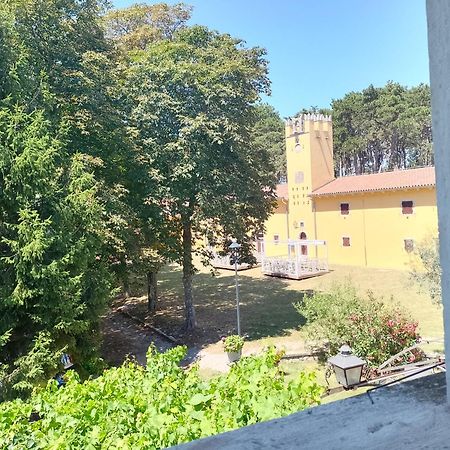 Apartments Lazzarini Battiala Nedescina ภายนอก รูปภาพ